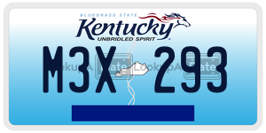 M3X293  license plate in KY