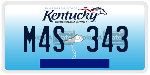 M4S343  license plate in KY