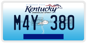 M4Y380  license plate in KY