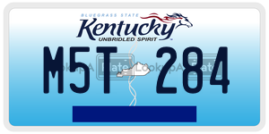 M5T284  license plate in KY