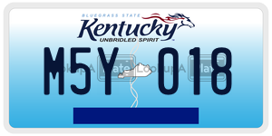 M5Y018  license plate in KY