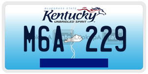 M6A229 license plate in Kentucky