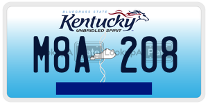 M8A208  license plate in KY