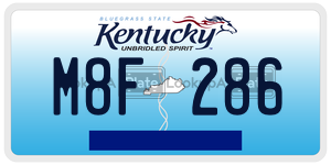 M8F286  license plate in KY