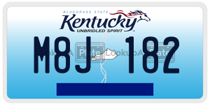 M8J182  license plate in KY