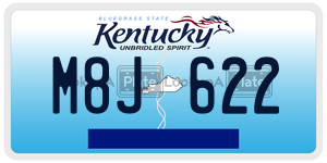 M8J622  license plate in KY