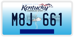M8J661  license plate in KY