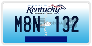 M8N132  license plate in KY