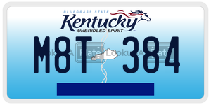 M8T384  license plate in KY