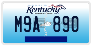 M9A890 license plate in Kentucky