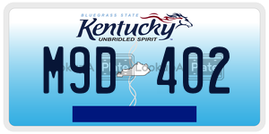M9D402  license plate in KY