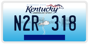 N2R318  license plate in KY