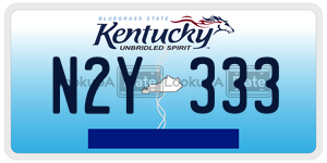N2Y333  license plate in KY