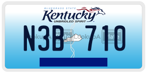 N3B710  license plate in KY
