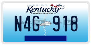N4G918  license plate in KY