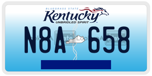 N8A658  license plate in KY