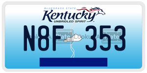 N8F353  license plate in KY