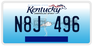 N8J496  license plate in KY
