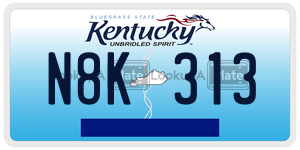 N8K313  license plate in KY