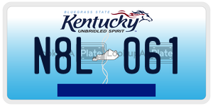 N8L061  license plate in KY