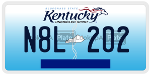 N8L202 license plate in Kentucky