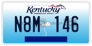 N8M146 license plate in Kentucky