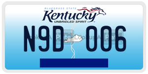 N9D006 license plate in Kentucky