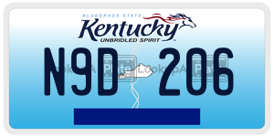 N9D206  license plate in KY