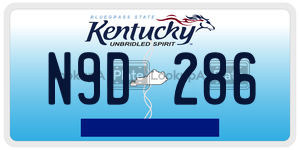N9D286  license plate in KY