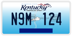 N9M124  license plate in KY