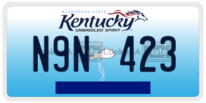 N9N423  license plate in KY