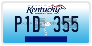 P1D355  license plate in KY