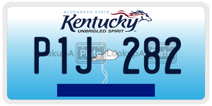 P1J282  license plate in KY