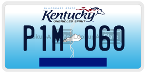 P1M060  license plate in KY