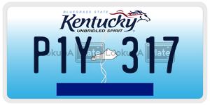 P1Y317  license plate in KY