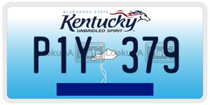 P1Y379  license plate in KY