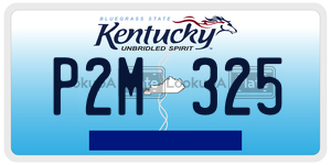 P2M325 license plate in Kentucky