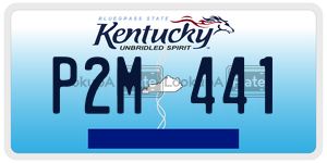 P2M441 license plate in Kentucky
