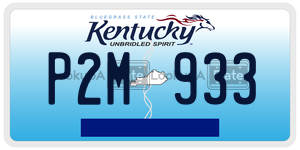 P2M933  license plate in KY
