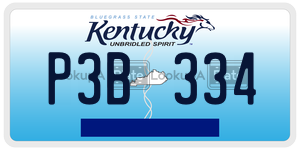 P3B334  license plate in KY