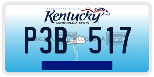 P3B517  license plate in KY
