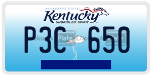P3C650  license plate in KY