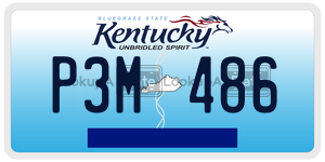 P3M486  license plate in KY