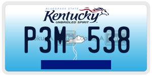 P3M538  license plate in KY