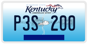 P3S200  license plate in KY