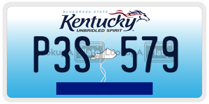 P3S579  license plate in KY