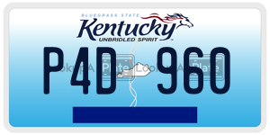 P4D960  license plate in KY