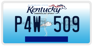 P4W509 license plate in Kentucky