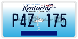 P4Z175  license plate in KY