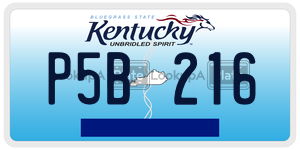 P5B216  license plate in KY